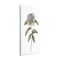 Stupell Industries Camellia Flower Illustration Wall Plaque, design by Cecilia Battaini